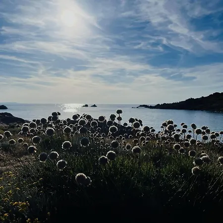 Lovely Sea View And Garden Costa Paradiso